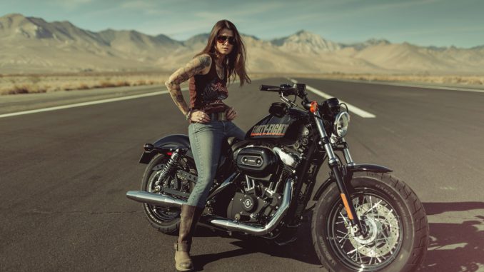 Forty Eight von Harley Davidson Modelljahr 2013