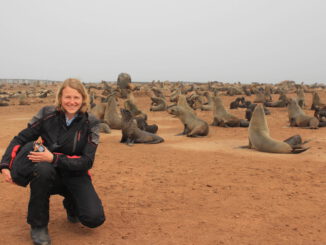 Mit Jenny nach Namibia. Motorradreise nach Afrika.