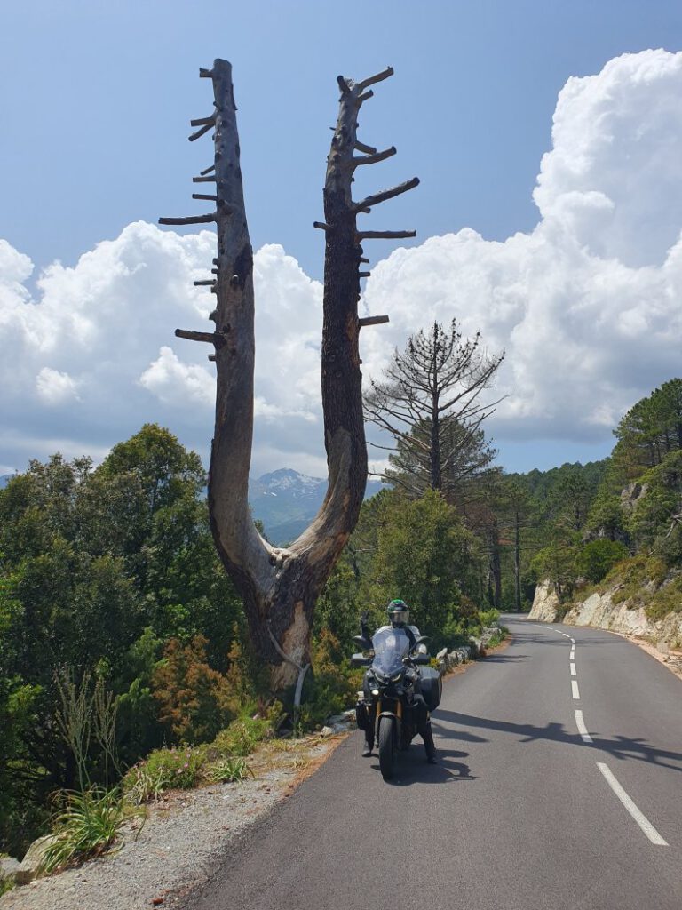 tourheldin fährt auch nach Koriska