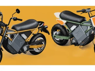 Livewire Minimoto für Straße und Offroad