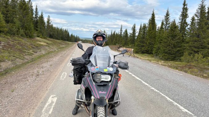 rentiere-und-babsi Tonia, Rentiere und Babsi. Motorradtour durch Schwedisch Lappland.