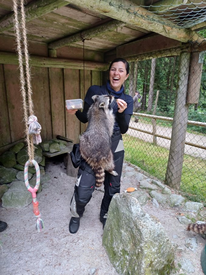 Lou und der Waschbär im Wildpark Mehlmeisel