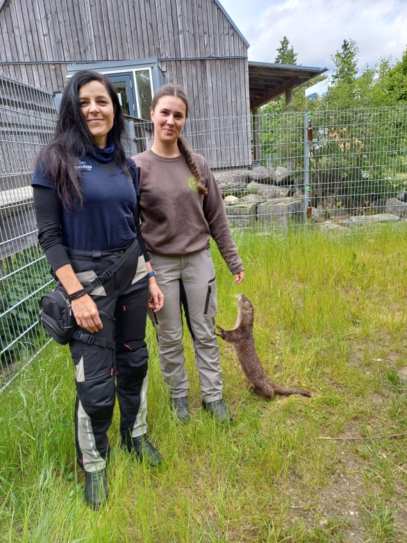 Ottergehege mit Otter und Vanessa